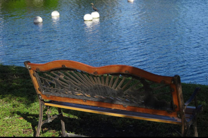 Mobile Home Conservada (2)